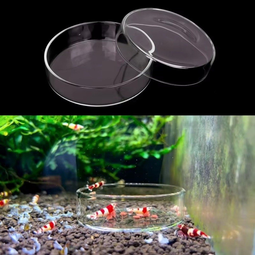 Baby Food Shrimp - Glass Aquarium Feeding Bowl Durable Clear