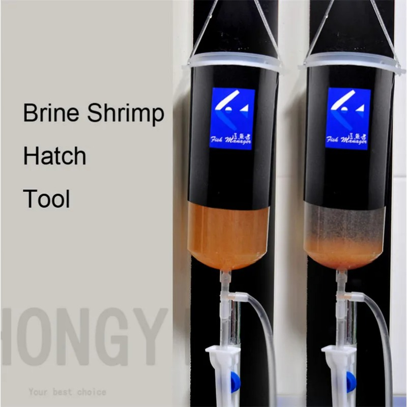 Fairy shrimp egg artemia alive - огляд і ціна Baby Food Shrimp