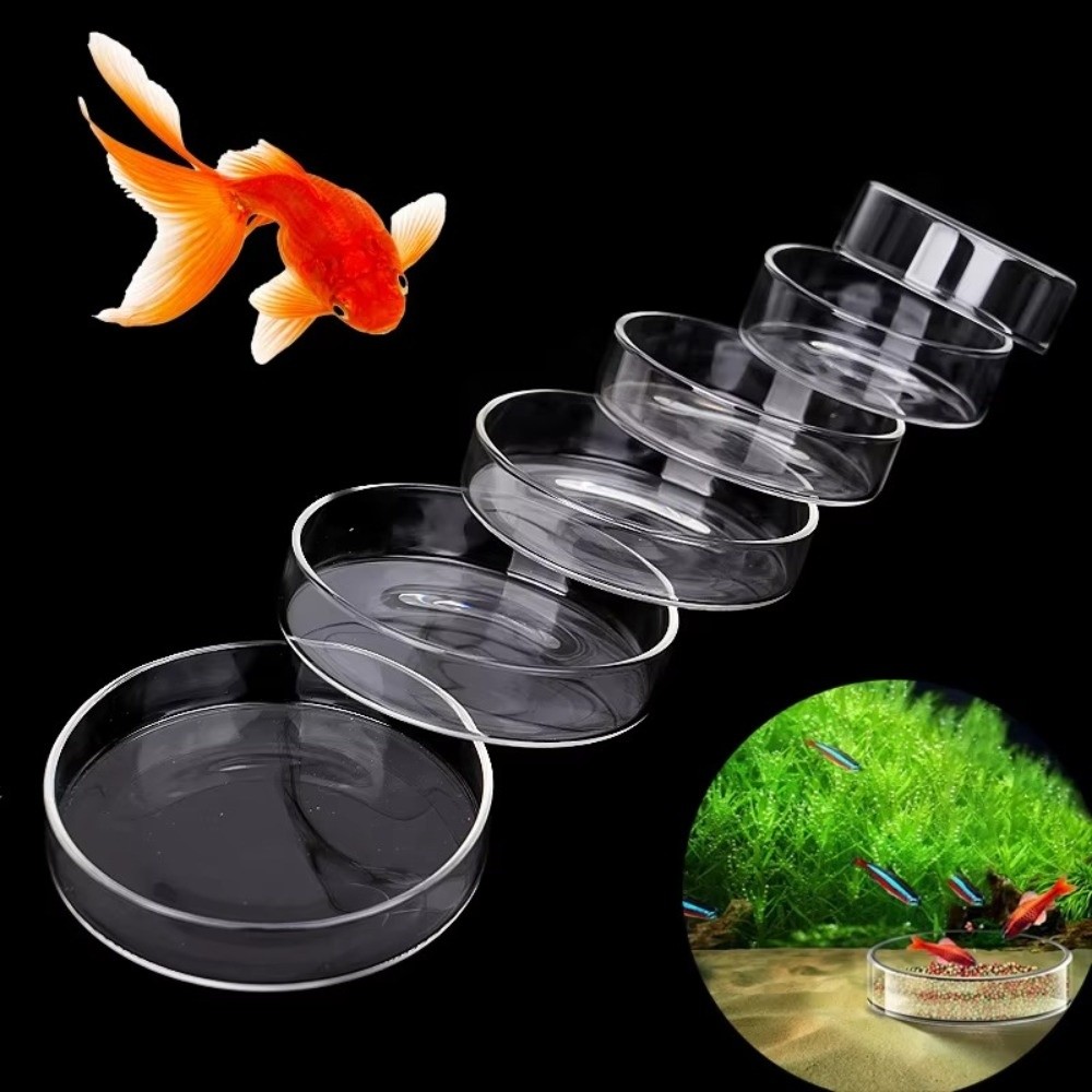 Glass Aquarium Feeding Bowl Du - огляд і ціна Baby Food Shrimp