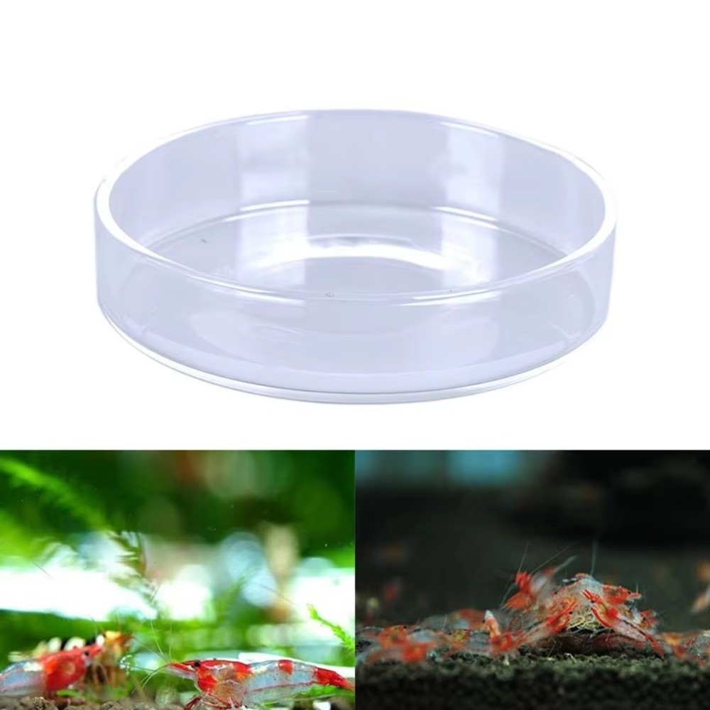 Glass Aquarium Feeding Bowl Du - огляд і ціна Baby Food Shrimp