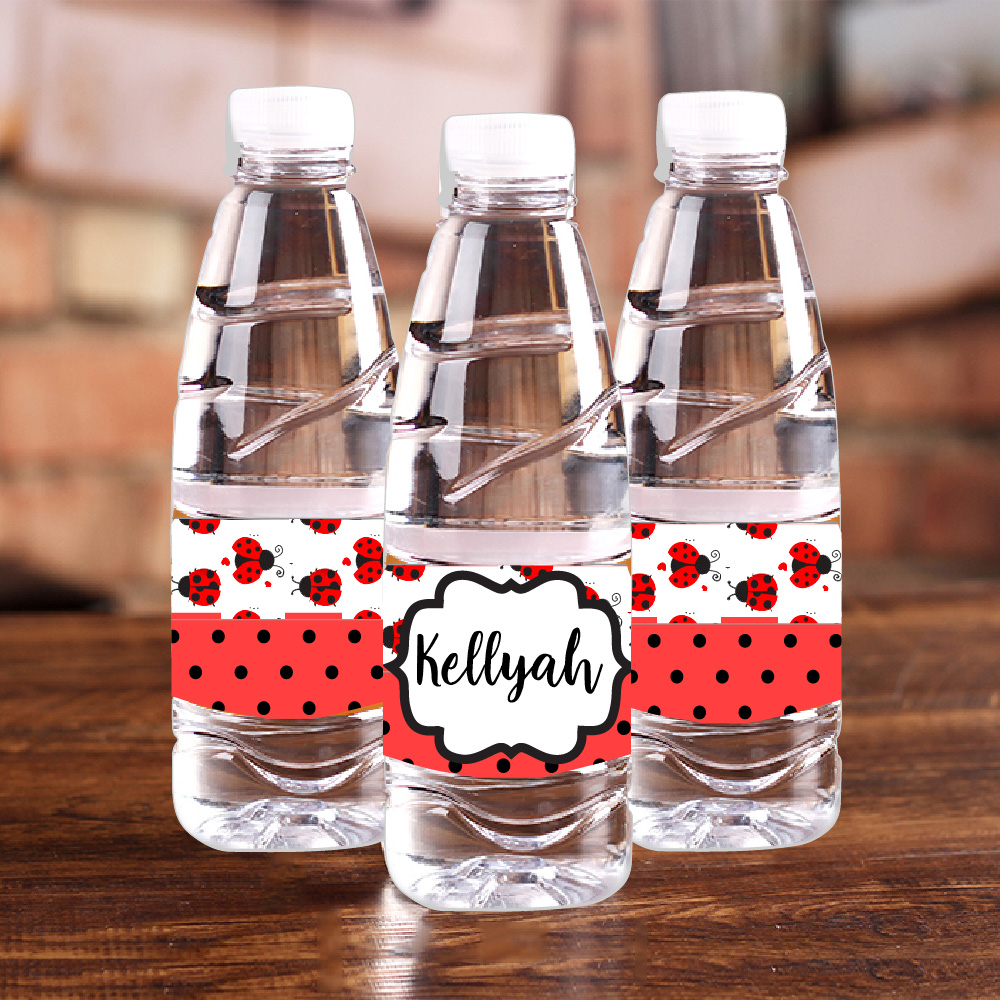 Personalised Ladybug Red Polka - огляд і ціна Baby Food Plan