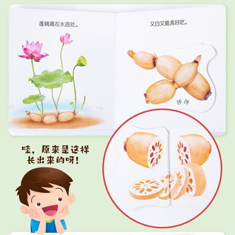 Infant Food Education Flipbook - огляд і ціна Baby Food Age