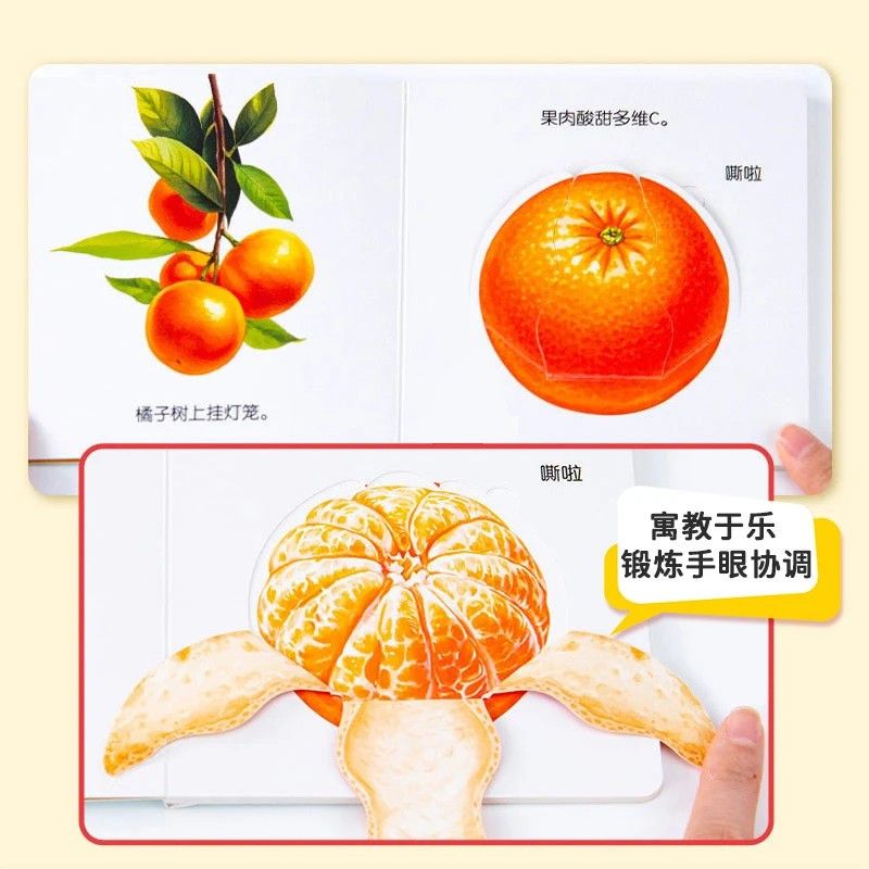 Infant Food Education Flipbook - огляд і ціна Baby Food Age
